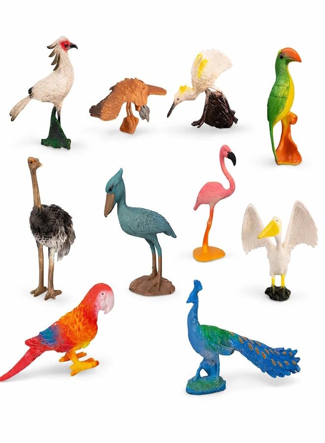 DTR Creation Pack of 10 Bird Figurines for Kids | Realistic Wild Bird Animal Toys | Educational Plastic Miniature Birds Set for Learning, School Projects & Home Décor - Image 1